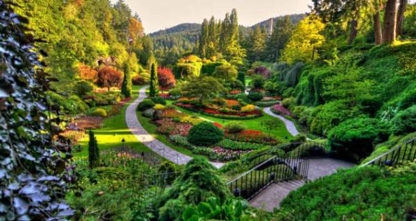 學(xué)習(xí)國(guó)外苗木行業(yè)經(jīng)驗(yàn)，搶先了解國(guó)內(nèi)市場(chǎng)動(dòng)態(tài)