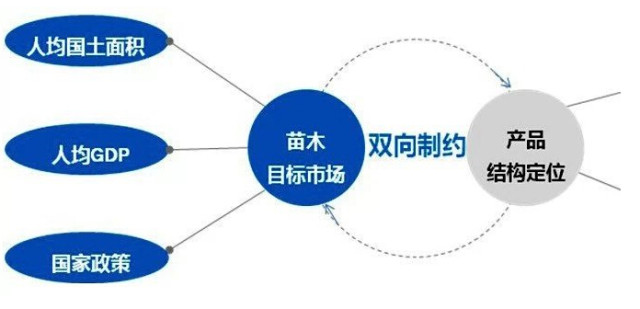 學(xué)習(xí)國(guó)外苗木行業(yè)經(jīng)驗(yàn)，搶先了解國(guó)內(nèi)市場(chǎng)動(dòng)態(tài)