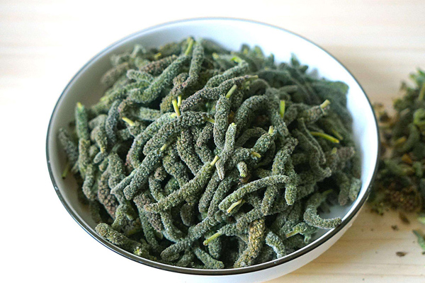 構(gòu)樹花 構(gòu)樹花